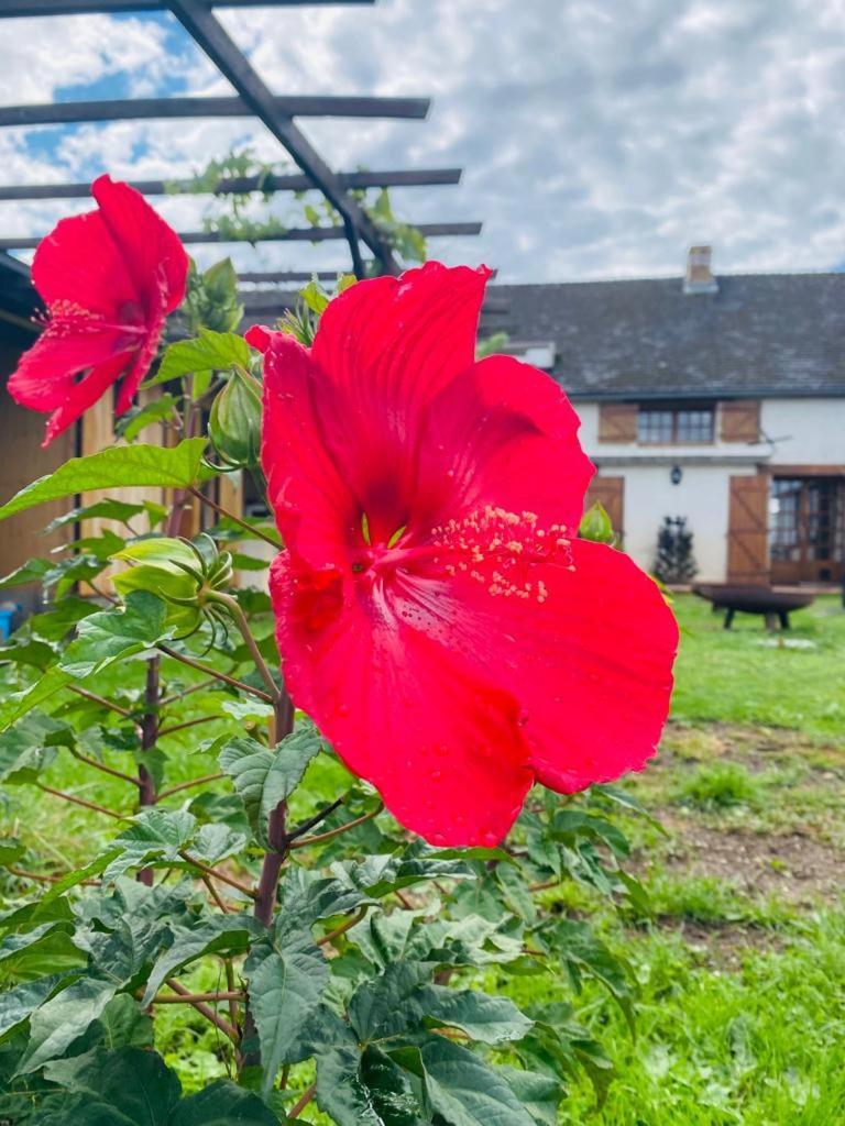 Bed and Breakfast Le Chene D'Or Marcheseuil Экстерьер фото